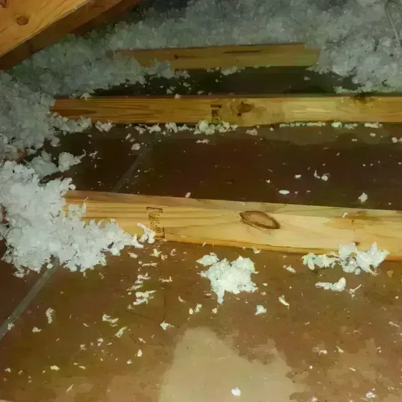 Attic Water Damage in Wellsville, MO